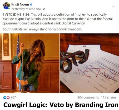 Cowgirl Logic Veto by Branding Iron