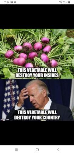 FB_IMG_1678767409709