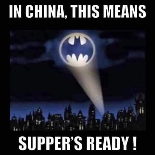 FB_IMG_1680026546286