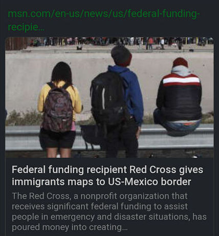 illegal immigration321