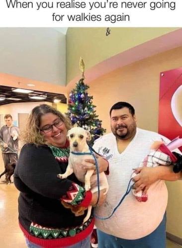 FB_IMG_1677859731794