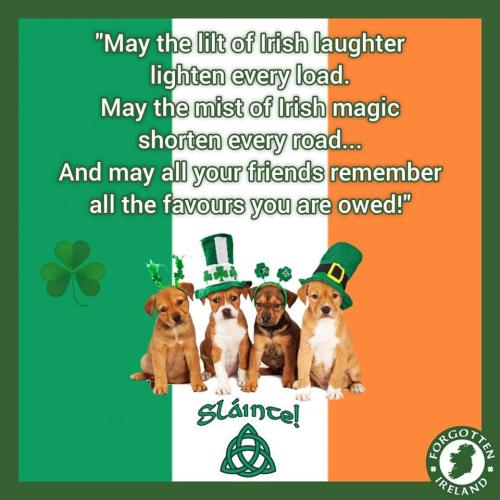 335678742_1921724401500260_2988375597553819424_n