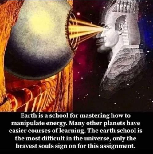 51cCp52jAWL._AC_AC_SR98,95_