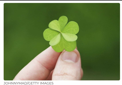 Screenshot_2023-03-17-22-40-42_kindlephoto-339018571