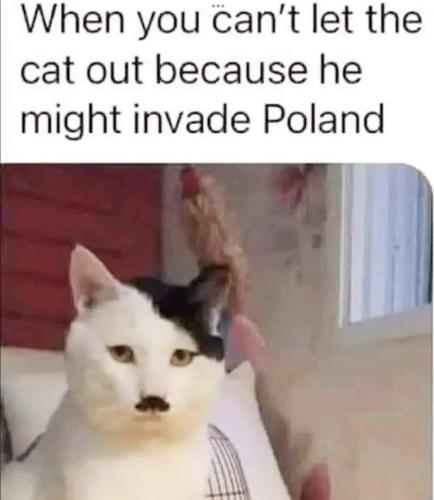 C4D549C0-C511-42FB-8E45-F8CA834DDA2C