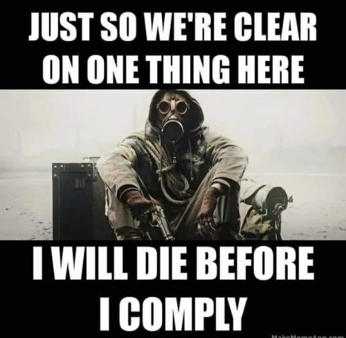 FB_IMG_1678889163432