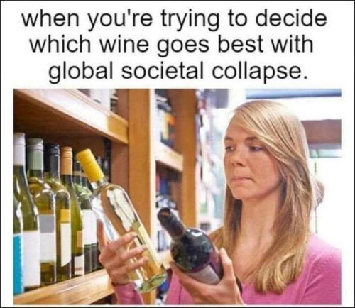 global societal collapse00