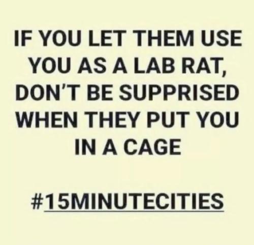 IMG_20230304_151457_235