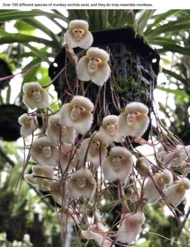 Screenshot_2023-03-16-14-56-45_kindlephoto-339390029