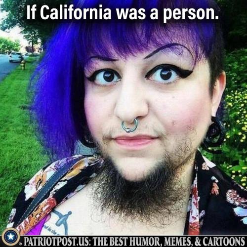 01GVK3GD6HJANGXB0XXS8DBAVH