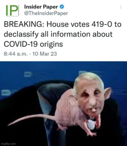 43fe0ebd16ff71a5 g