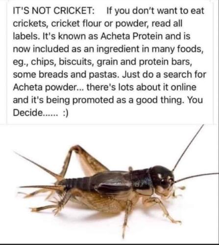 Its not cricket