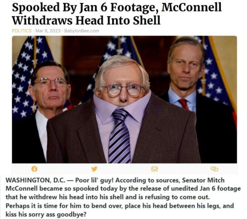 Yertle the Turtle McConnell Spooked by Tucker Carlson's J6 Footage