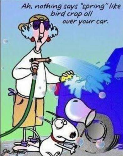 277245244_7125187184218442_3396336813696968231_n