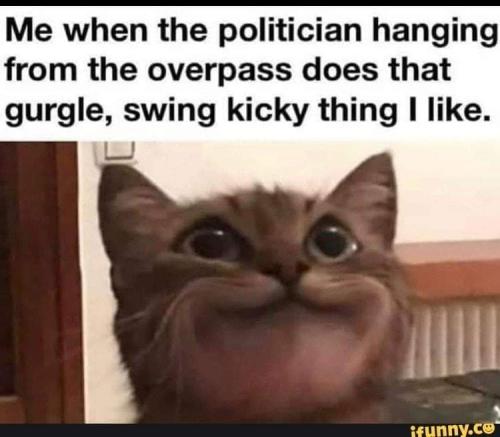 FB_IMG_1678586728184