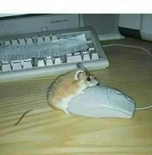 FB_IMG_1678467615817