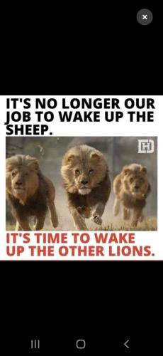 Screenshot_20230204-220539_Parler