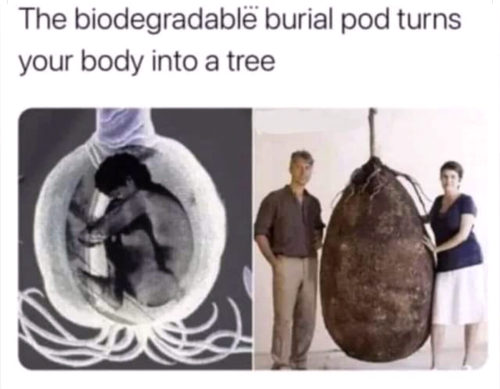 Screenshot_2023-03-03-13-24-51_kindlephoto-83396006