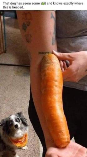 FB_IMG_1678121563048