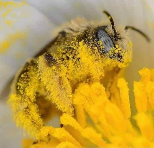 2b341098-055c-4044-bcbf-94b0350ba425