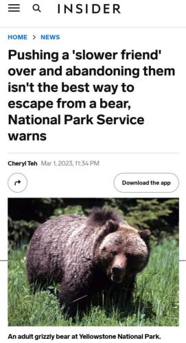 FB_IMG_1677913265257