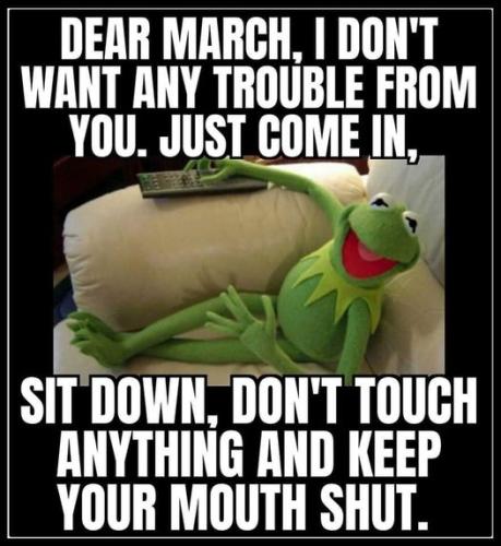 334399952_136253599096750_360665568431885635_n