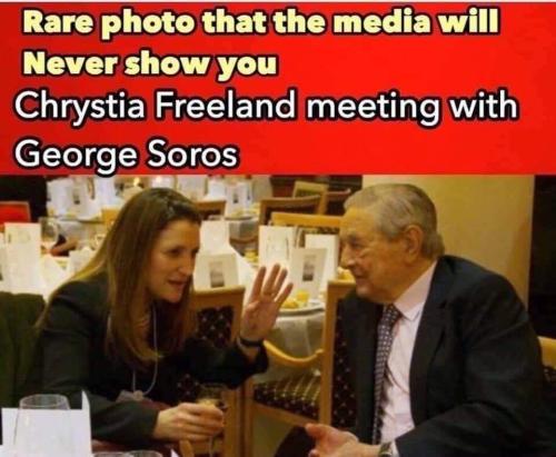 freeland and soros
