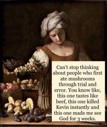 FB_IMG_1678301556076