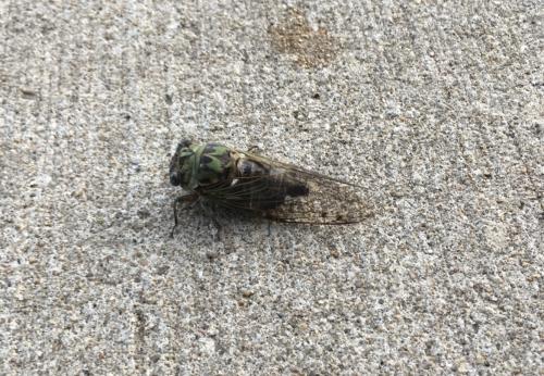 20:31:15 GMT-0600 (Central Standard Time).image