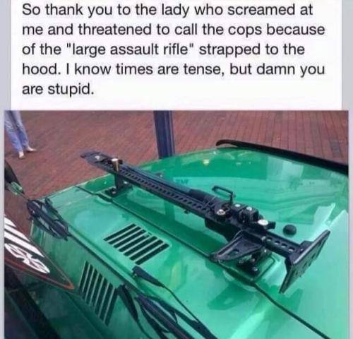 large assault weapon