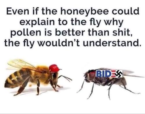 FB_IMG_1678885464592