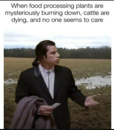 Screenshot_20230312_184556_YouTube