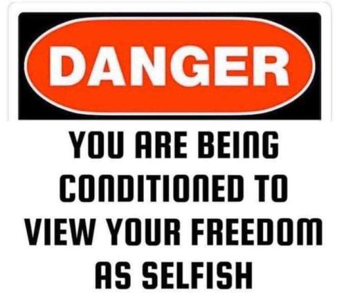 FB_IMG_1677901356736