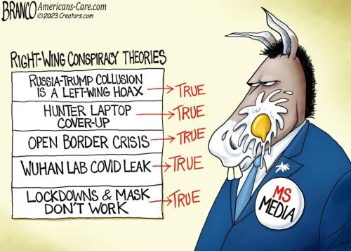 Branco_consp_theory_dems_suck