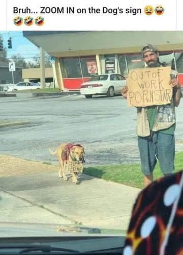 FB_IMG_1678119200262