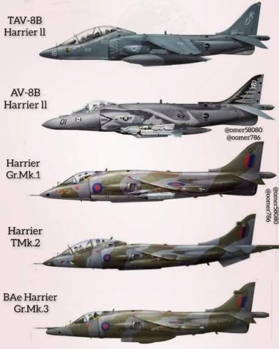 335407107_4348161198741512_7246991294611146331_n