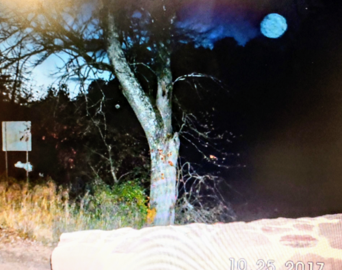 Screenshot_20221213-142545-255~2