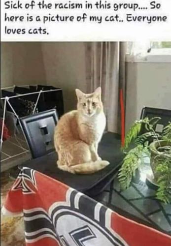 FB_IMG_1678204286138