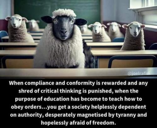 Society 1