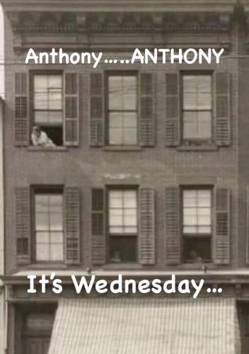 335290904_536986075134695_391839360862822270_n