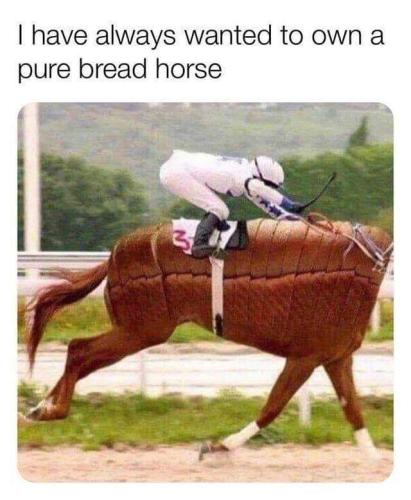 FB_IMG_1680067695981