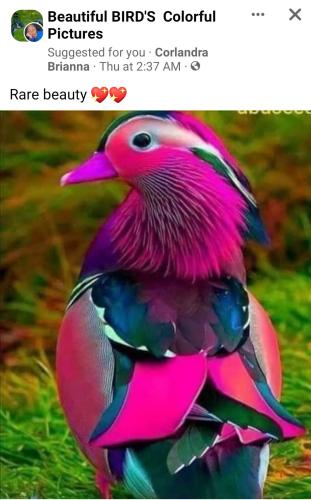 21:13:59 GMT-0500 (EST)