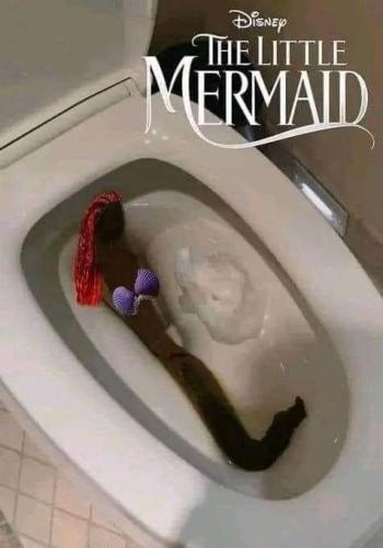 FB_IMG_1679587166359