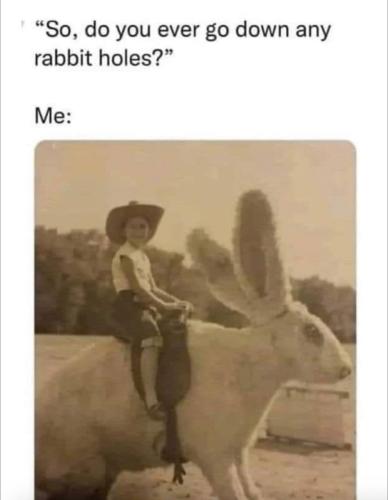 photo_2023-03-23_01-22-11