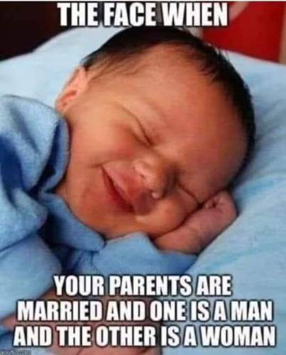 FB_IMG_1678591985576