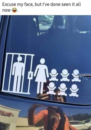 FB_IMG_1678133991719