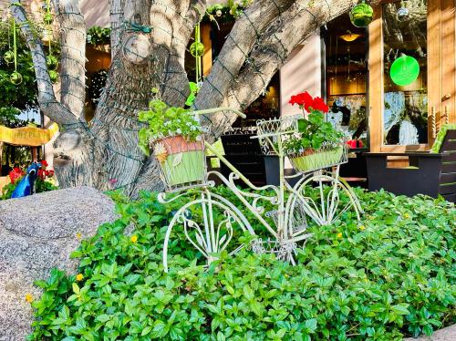 AE3377FC-B46B-47EE-A713-B85B9ABA27EC