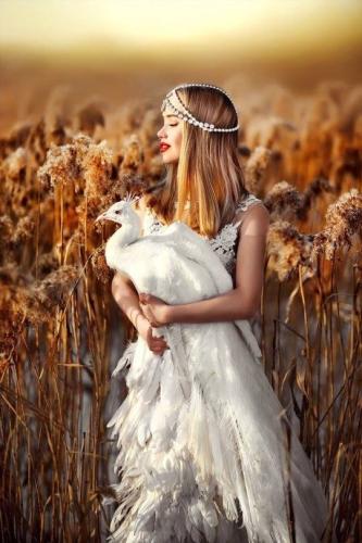 48059320_10210143292098968_8483494311583809536_n