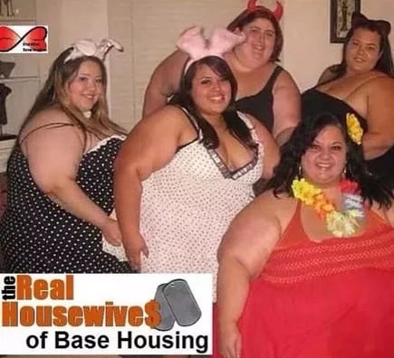 330759622_887013855693257_5095434915779397726_n