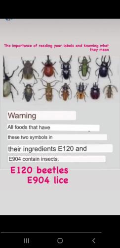 Screenshot_20230315-013358_Telegram